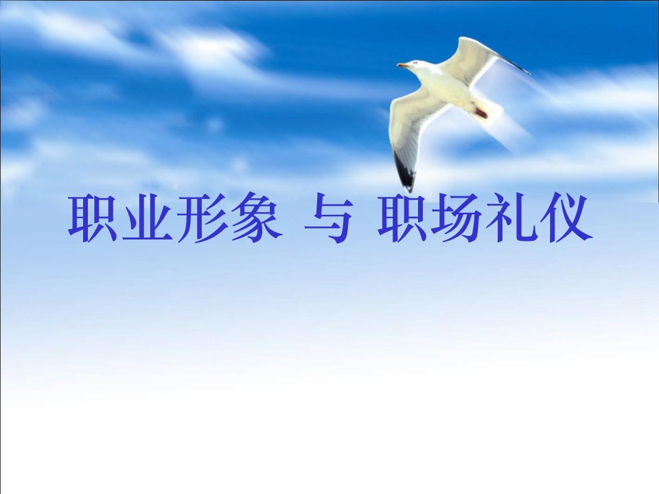 《2009年职业形象与职场礼仪最新课程讲义》(70页)-商务礼仪