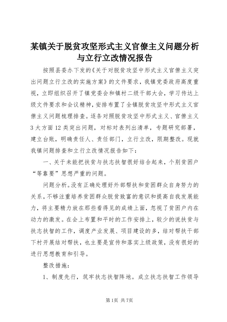 4某镇关于脱贫攻坚形式主义官僚主义问题分析与立行立改情况报告