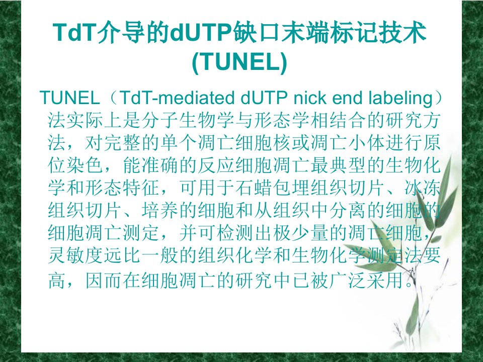 TUNEL法检测细胞凋亡实验原理和方法tunel完成幻灯片