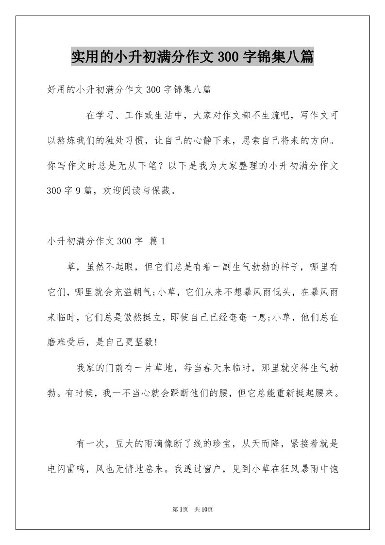 实用的小升初满分作文300字锦集八篇例文