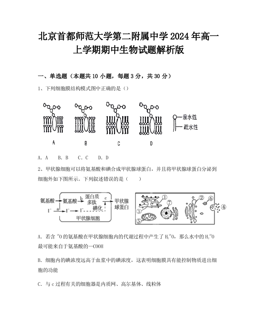 北京首都师范大学第二附属中学2024年高一上学期期中生物试题解析版