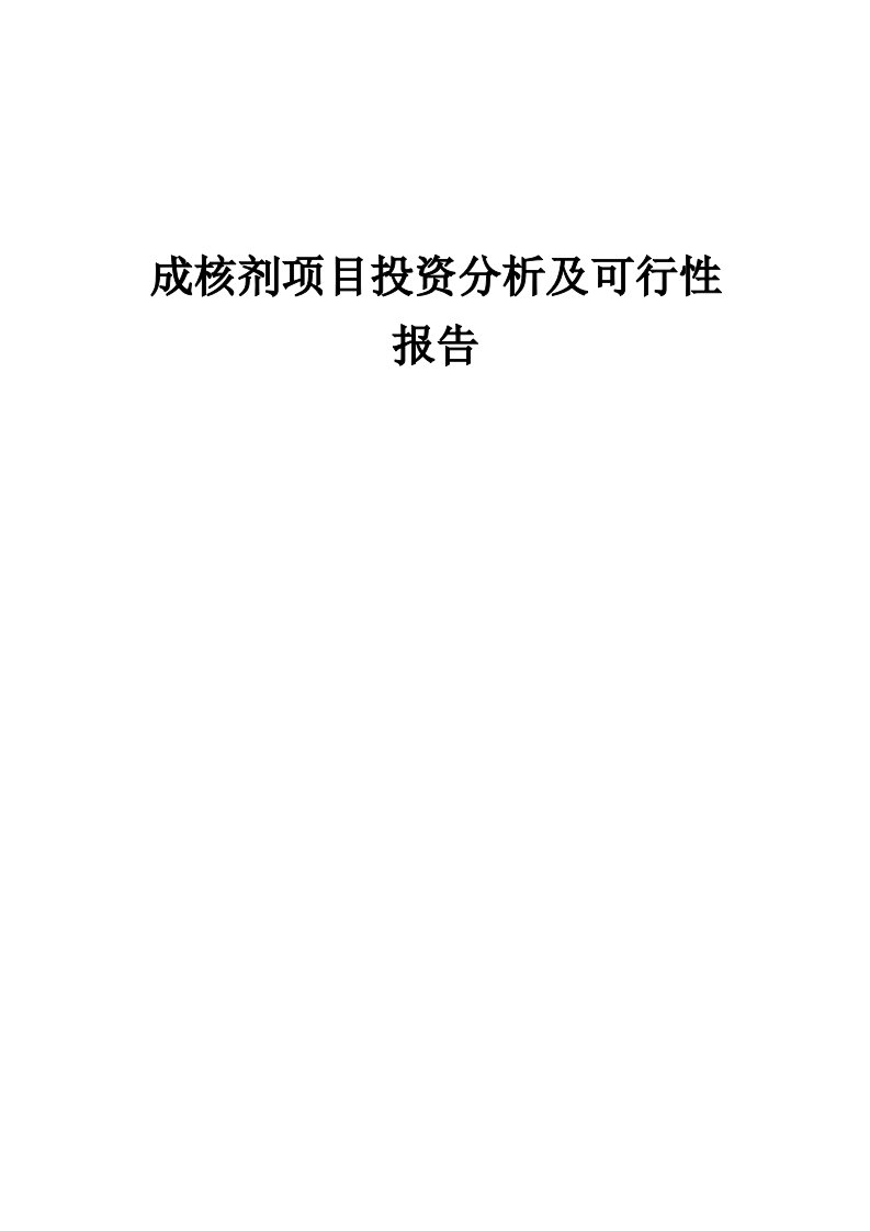 2024年成核剂项目投资分析及可行性报告