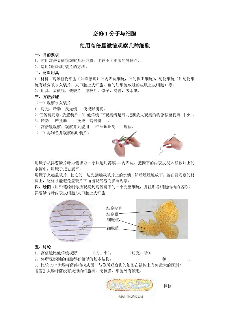 新课标要求的高中生物17个试验