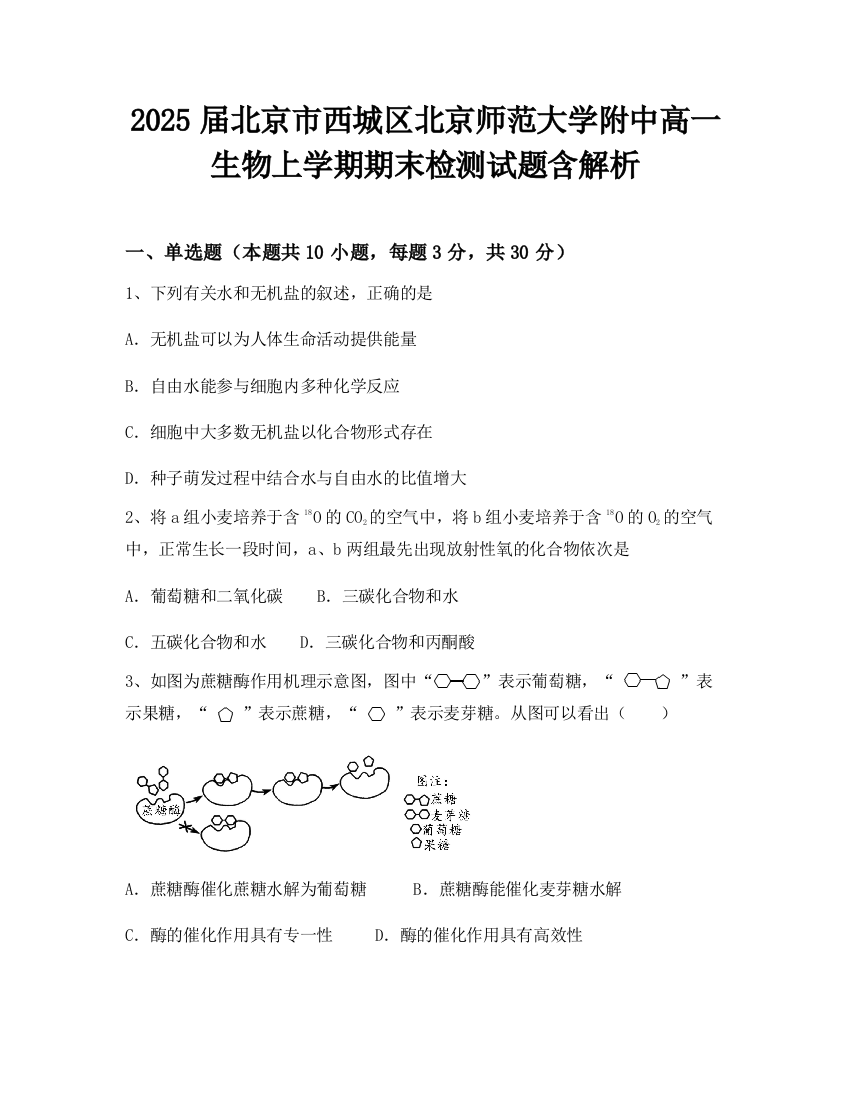 2025届北京市西城区北京师范大学附中高一生物上学期期末检测试题含解析