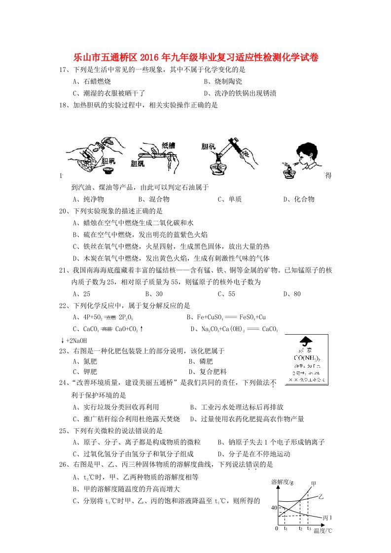 四川省乐山市五通桥区九年级化学毕业复习适应性检测试卷（无答案）