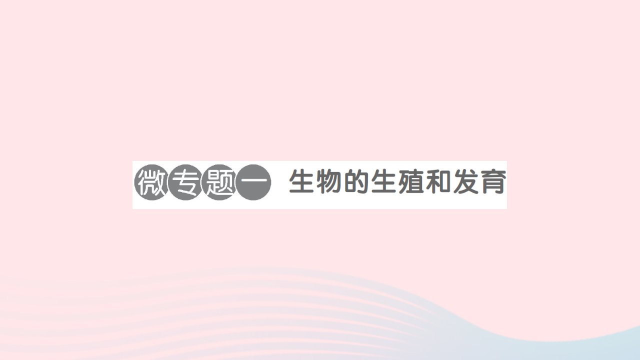 2023八年级生物下册第七单元生物圈中生命的延续和发展第一章生物的生殖和发育微专题一生物的生殖和发育作业课件新版新人教版