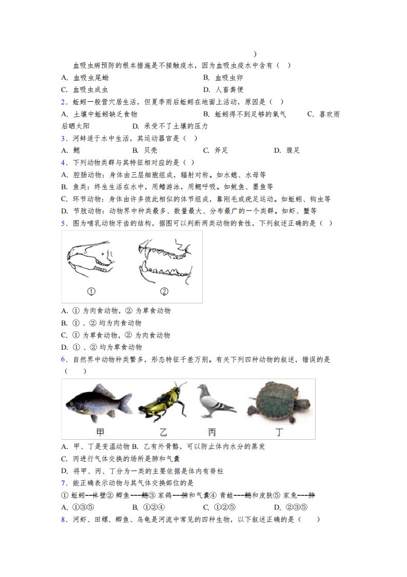 人教版生物初二上册期末模拟质量检测试卷附解析(-)