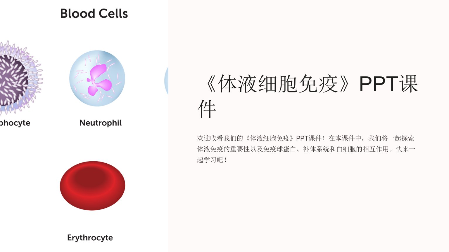 《体液细胞免疫》课件