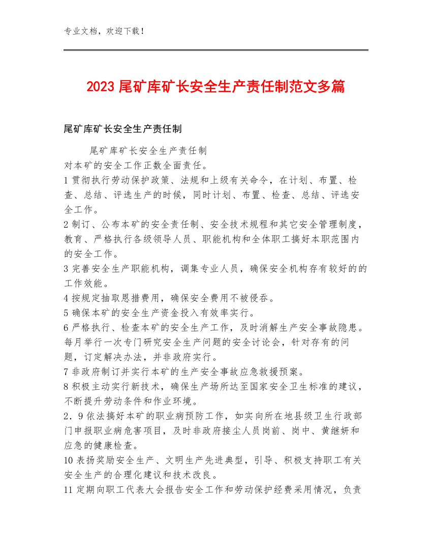 2023尾矿库矿长安全生产责任制范文多篇