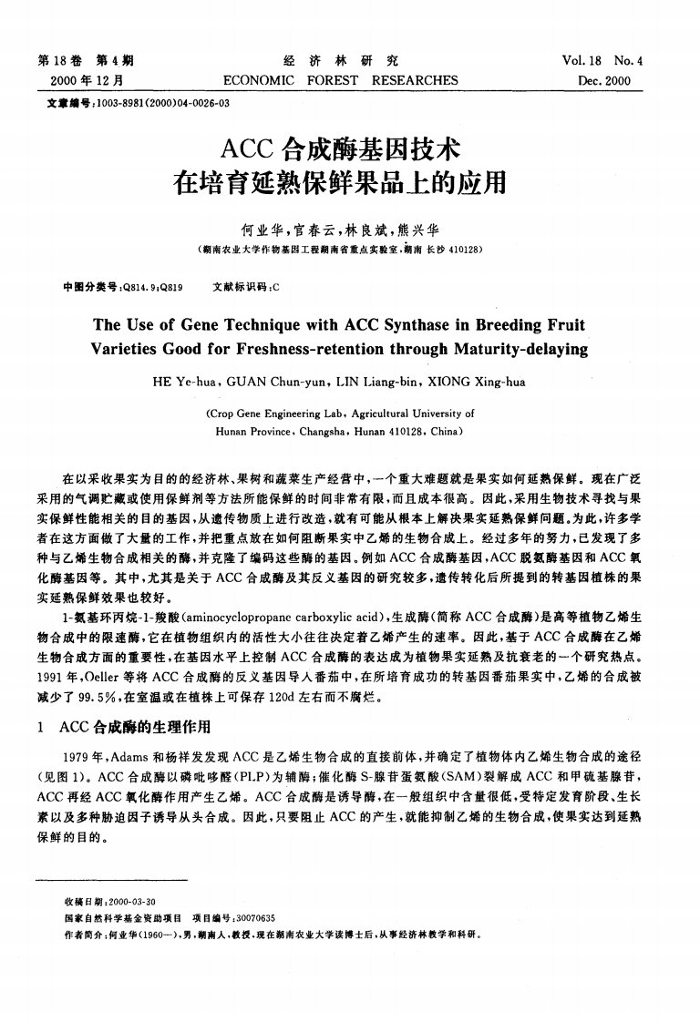 ACC合成酶基因技术在培育延熟保鲜果品上的应用