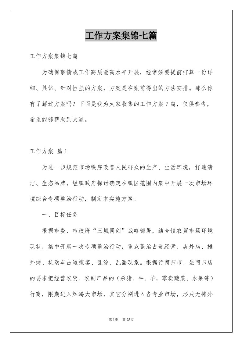 工作方案集锦七篇例文