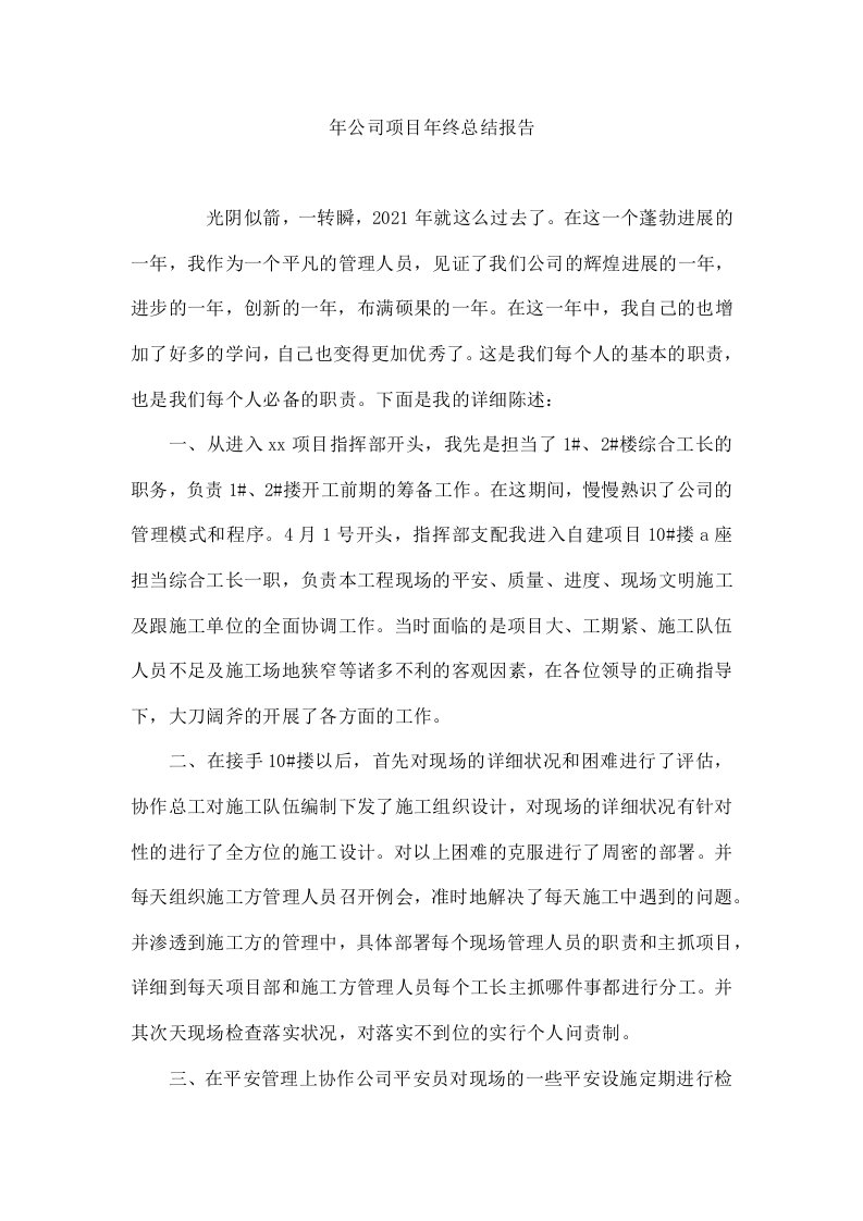 年公司项目年终总结报告