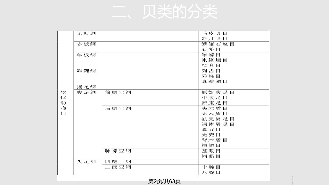 贝类主要特性