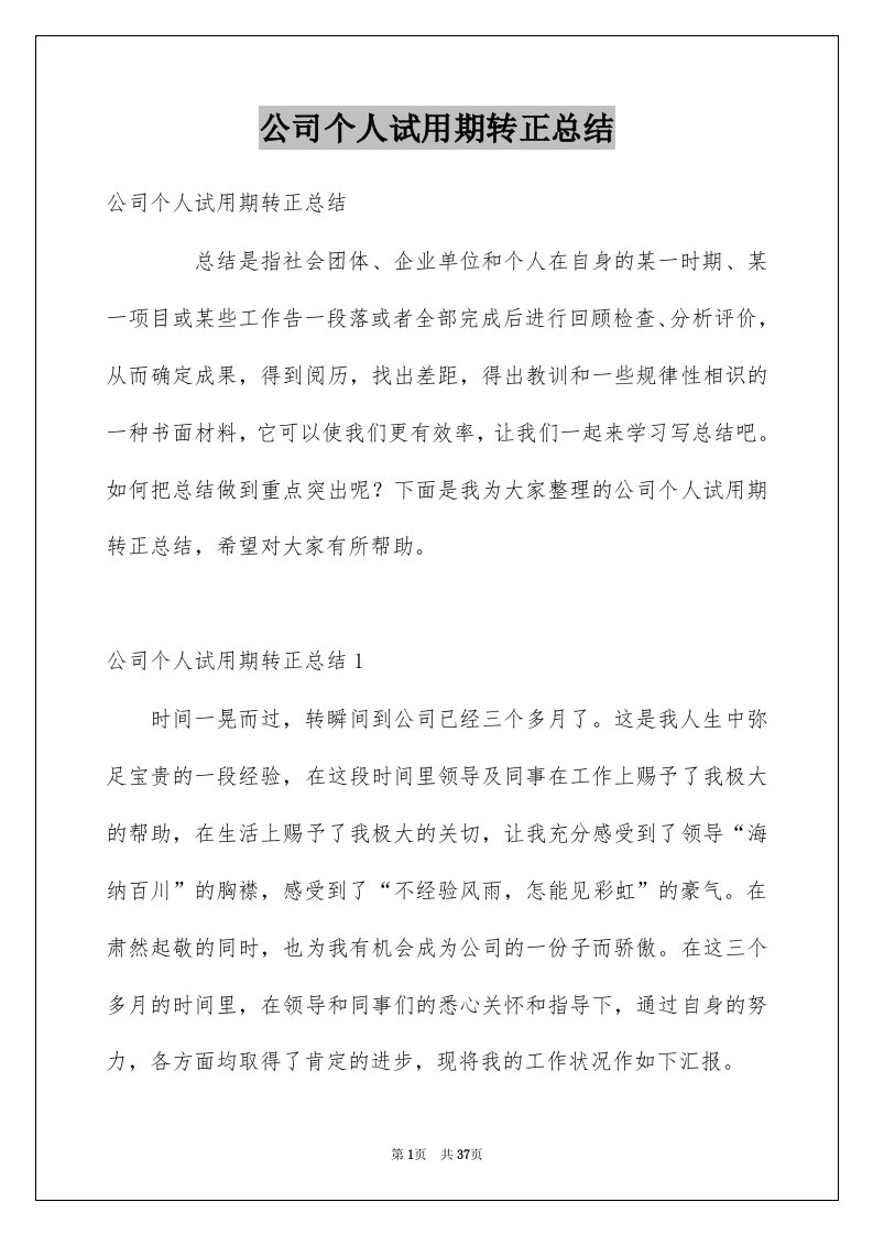 公司个人试用期转正总结例文