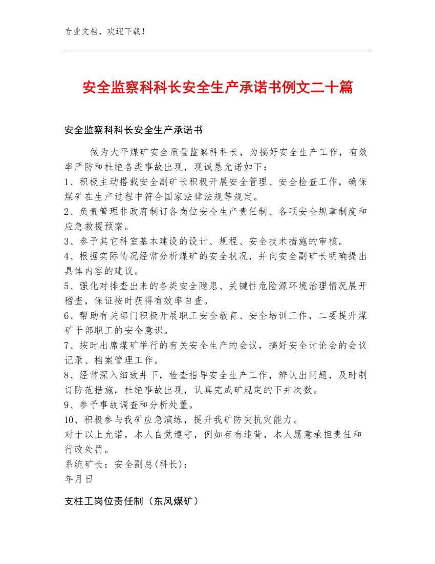 安全监察科科长安全生产承诺书例文二十篇