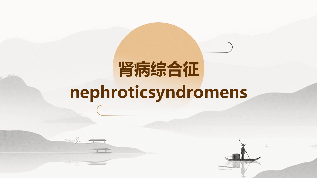 肾病综合征NephroticSyndromeNS