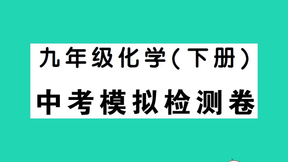 九年级化学下册中考模拟检测卷作业课件新版新人教版