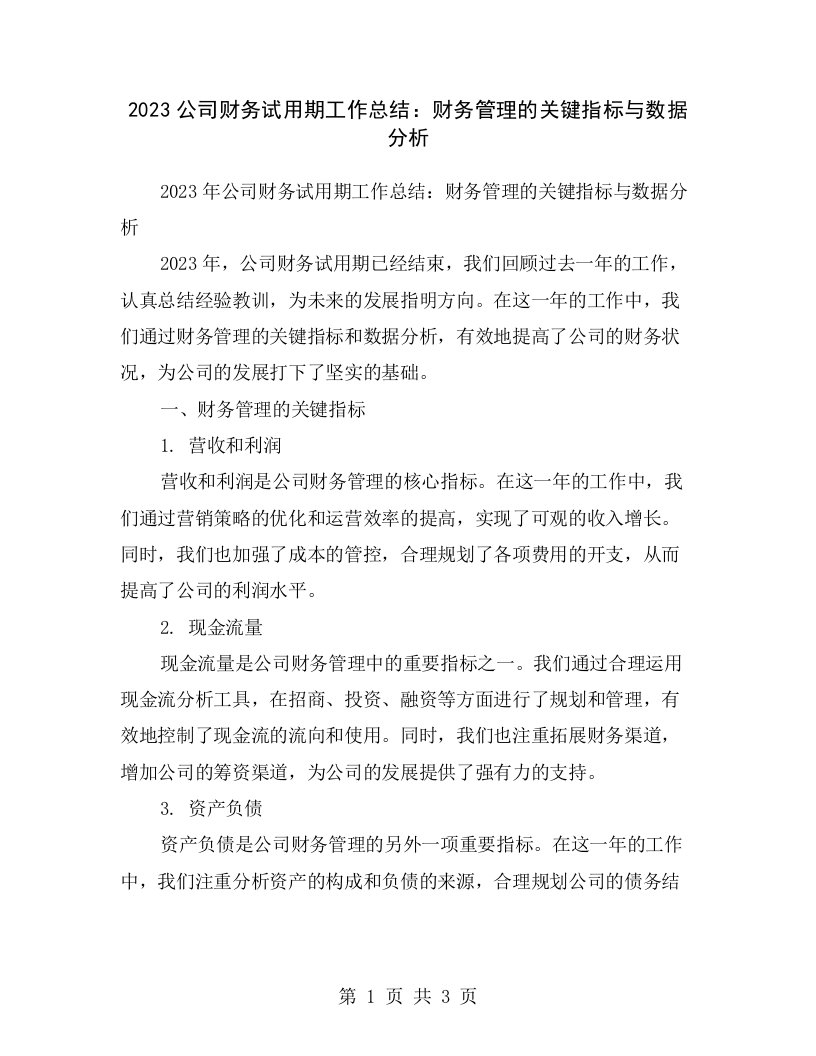 2023公司财务试用期工作总结：财务管理的关键指标与数据分析