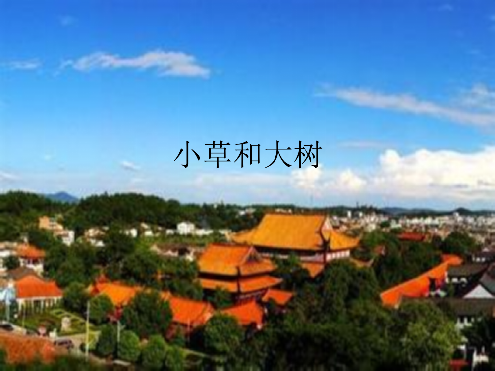 六年级科学《小草和大树》