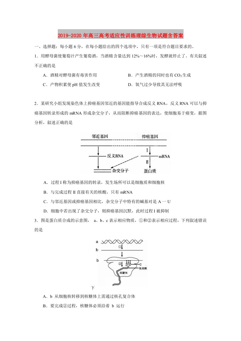 2019-2020年高三高考适应性训练理综生物试题含答案