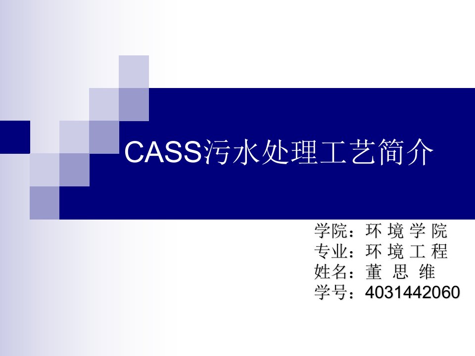 CASS—cass处理工艺介绍