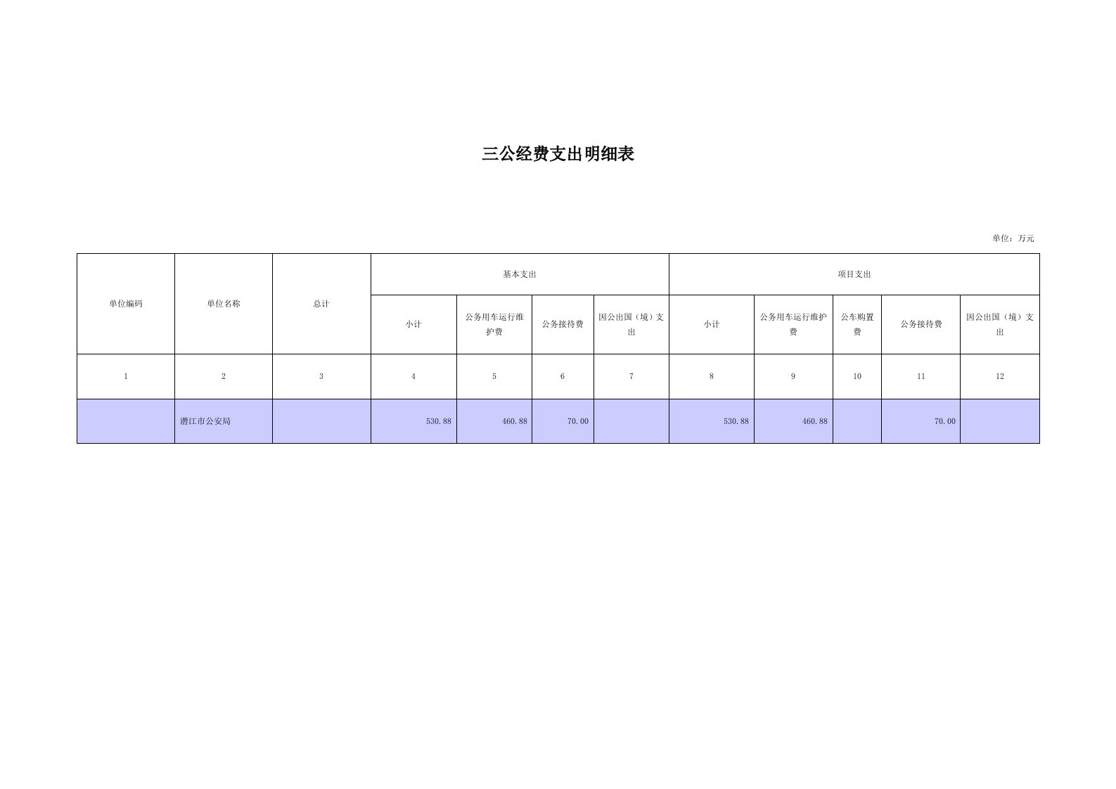 三公经费支出明细表