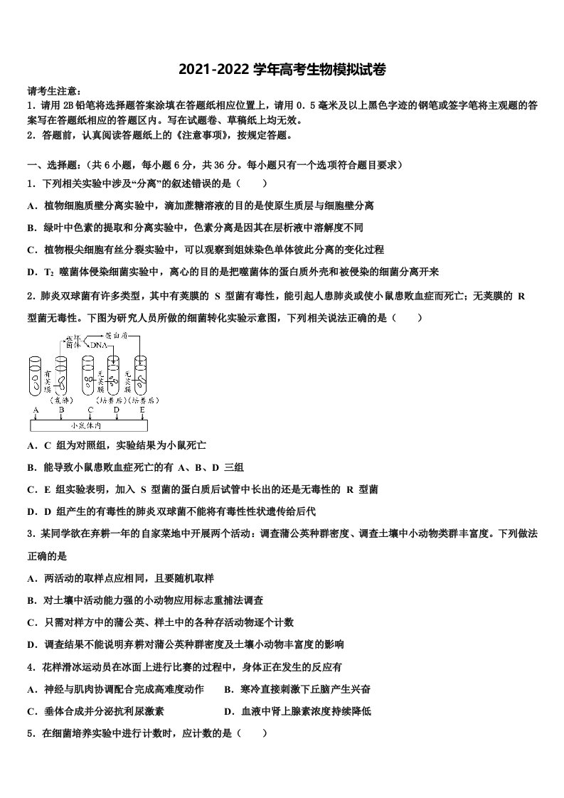 2022年广东省肇庆市实验中学高三第三次模拟考试生物试卷含解析