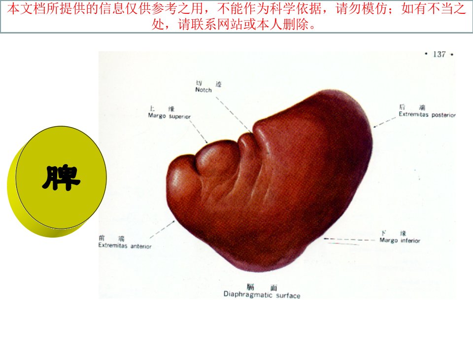 中医基础理论之五脏篇脾培训课件