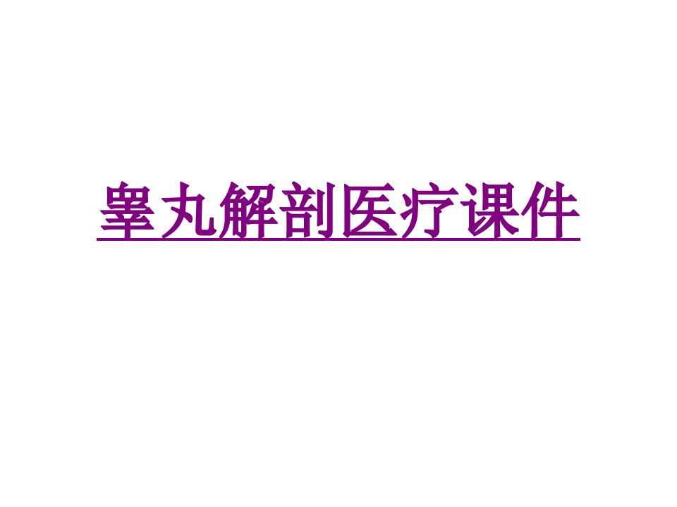 医学睾丸解剖宣教专题课件