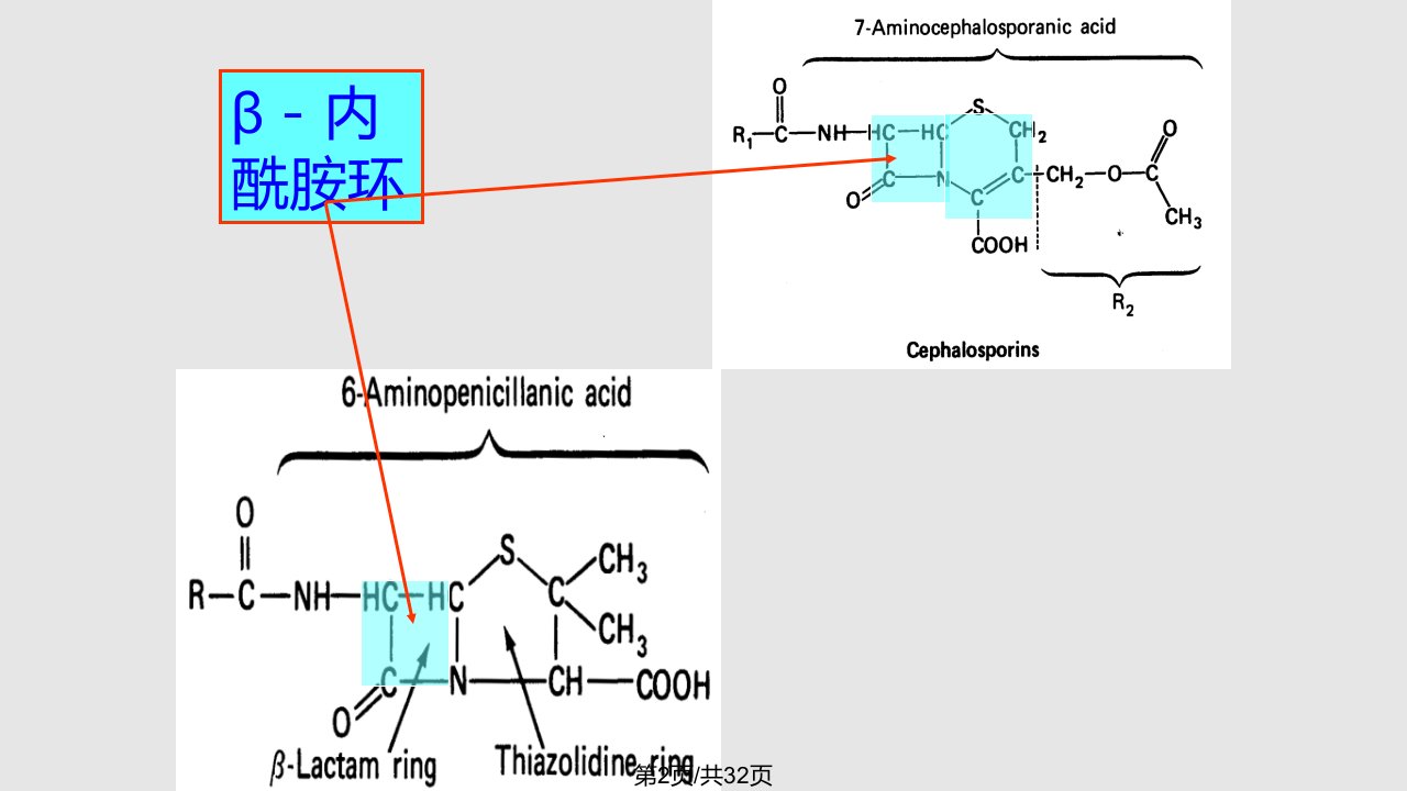 内酰胺类抗生素