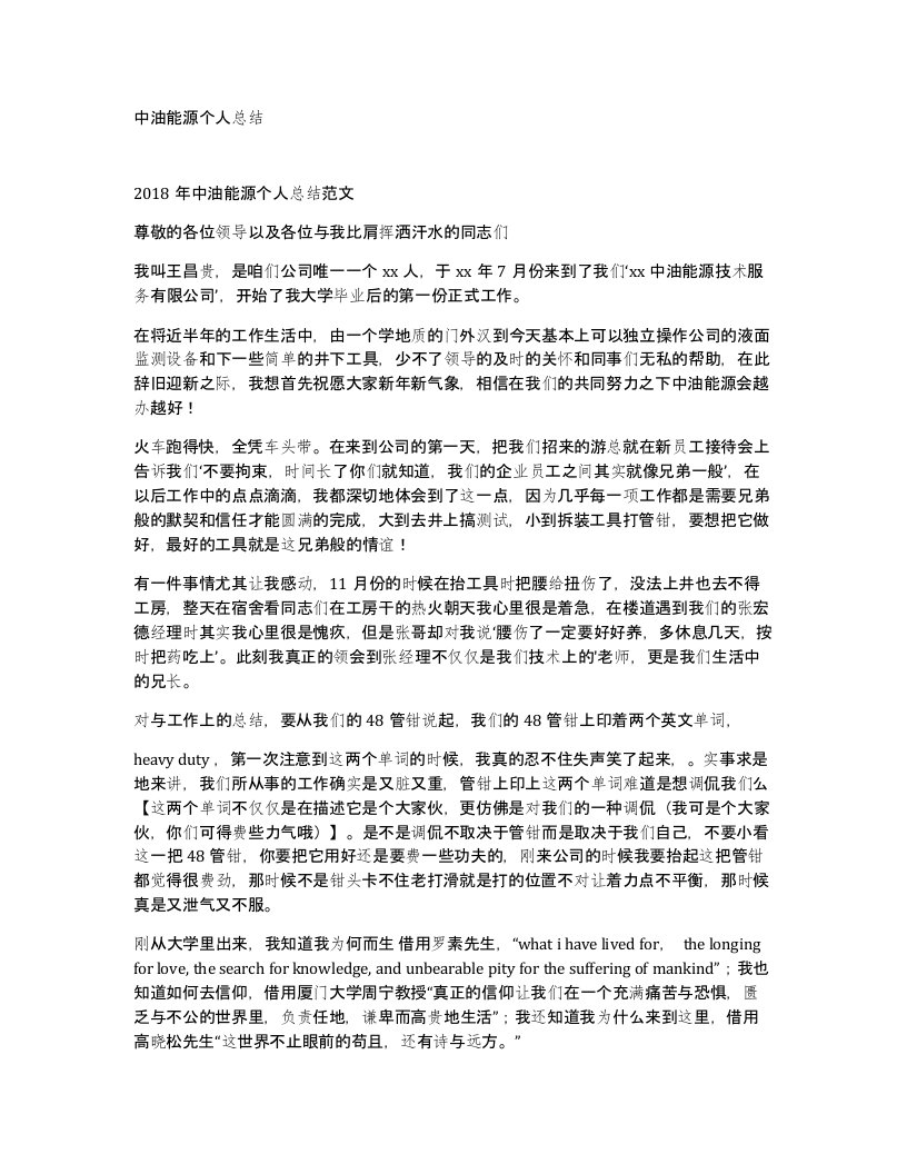 中油能源个人总结