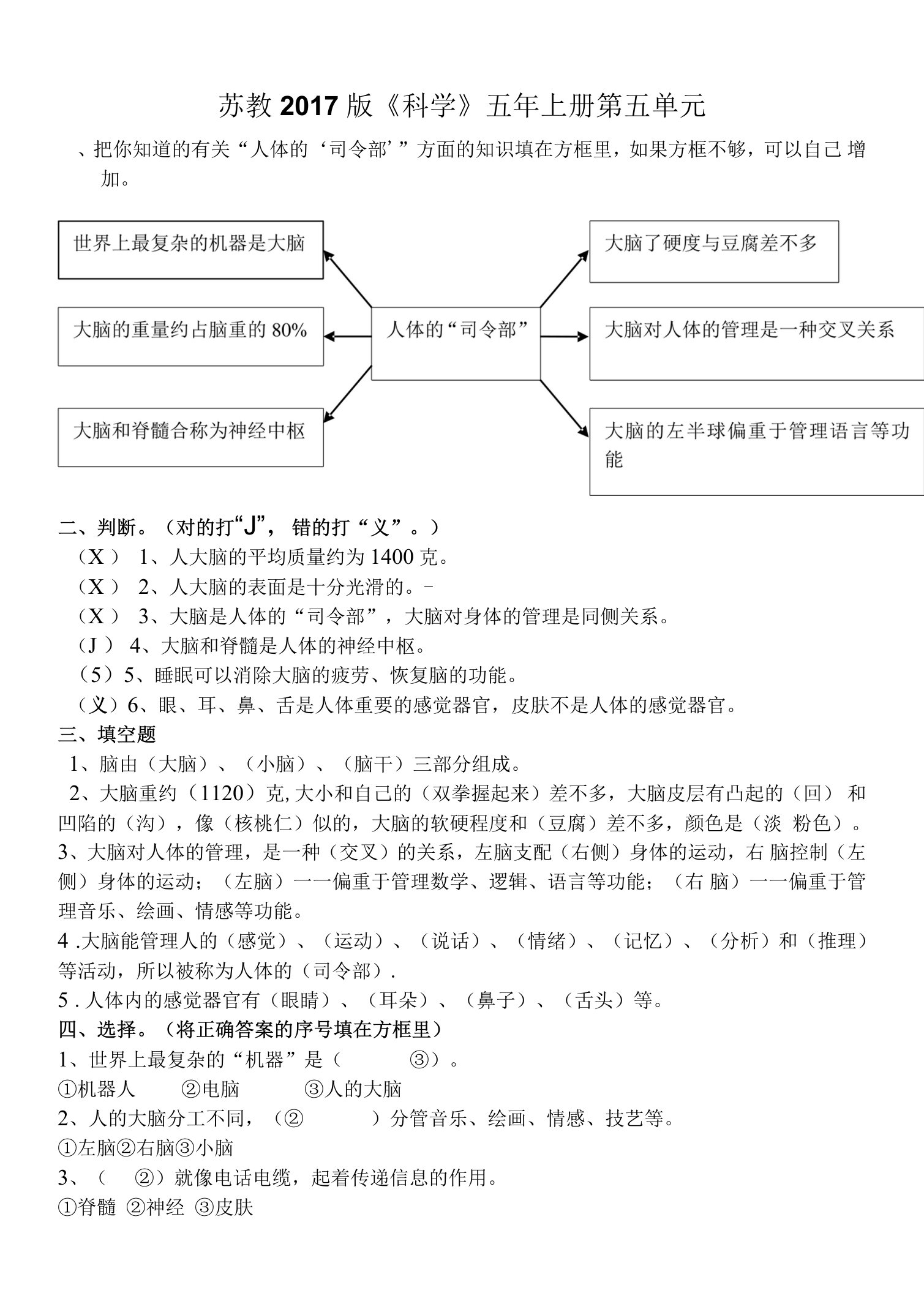 苏教版五年上册科学第五单元测试题（含答案）