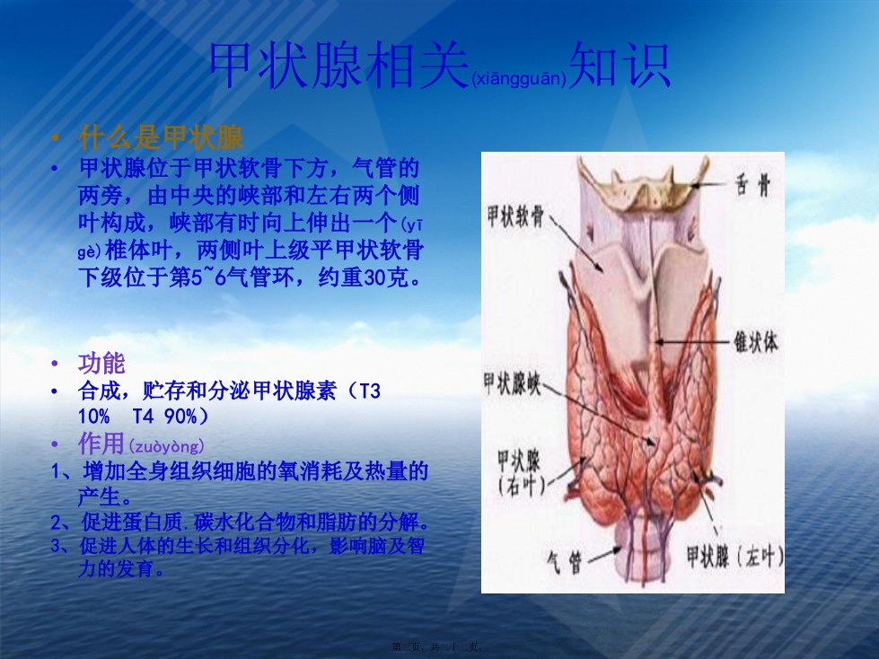 医学专题结节性甲状腺肿