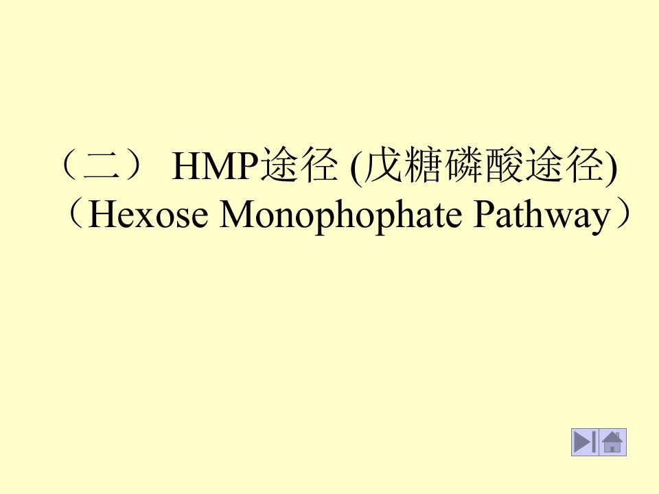 HMP途径