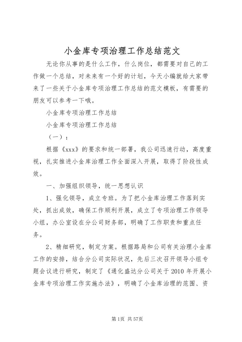 2022小金库专项治理工作总结范文