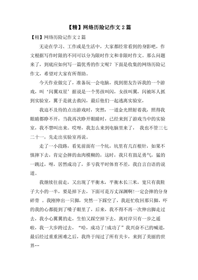 网络历险记作文2篇