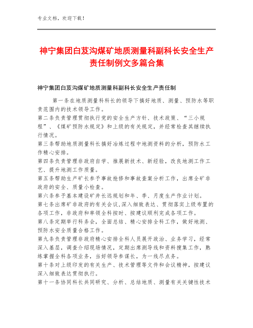 神宁集团白芨沟煤矿地质测量科副科长安全生产责任制例文多篇合集