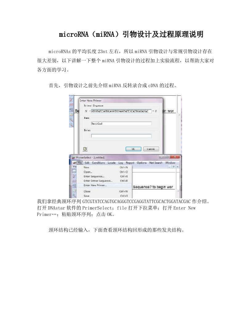 microRNA(miRNA)茎环法引物设计及过程原理说明