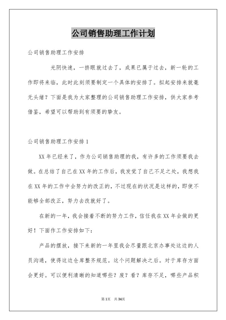 公司销售助理工作计划汇编