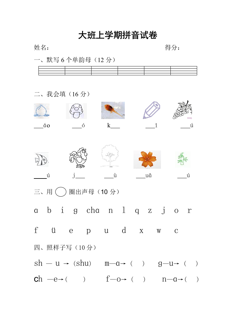 大班上学期拼音试卷