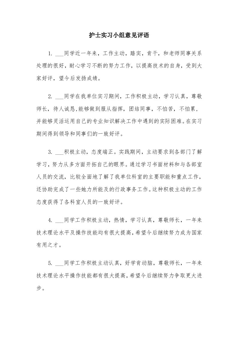 护士实习小组意见评语