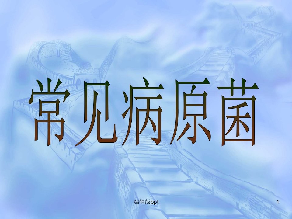 病原生物与免疫学基础常见病原菌厌氧性细菌医学课件