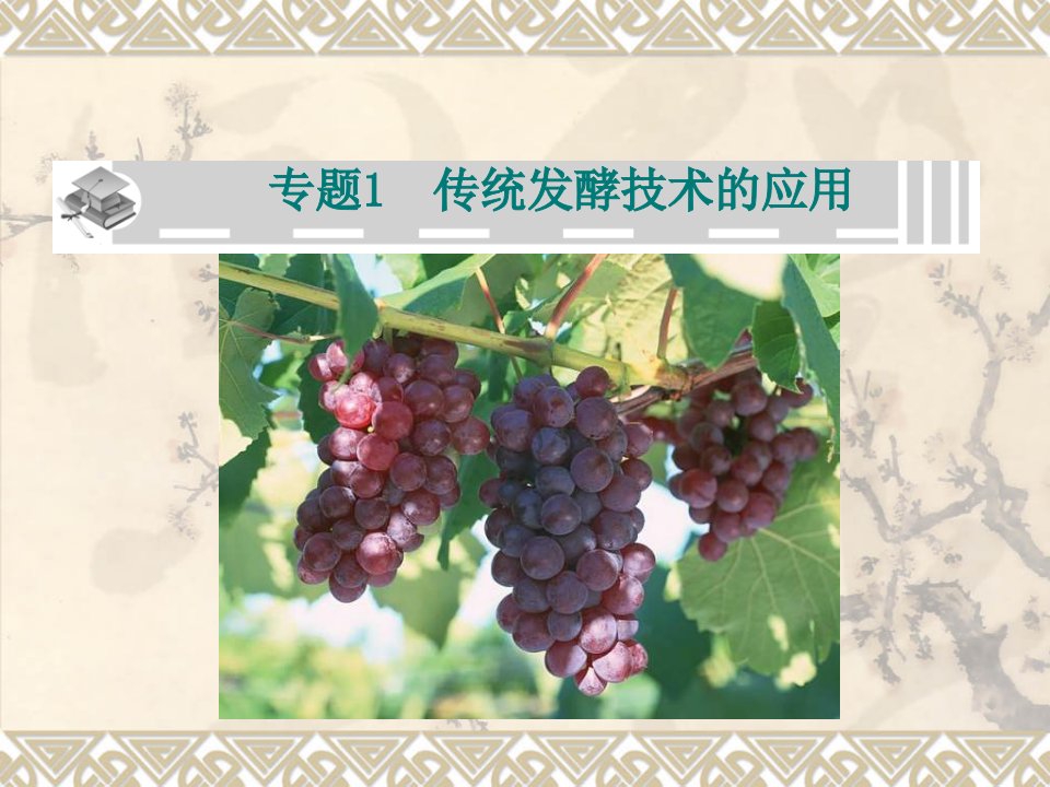 高二生物传统发酵技术的应用2.ppt