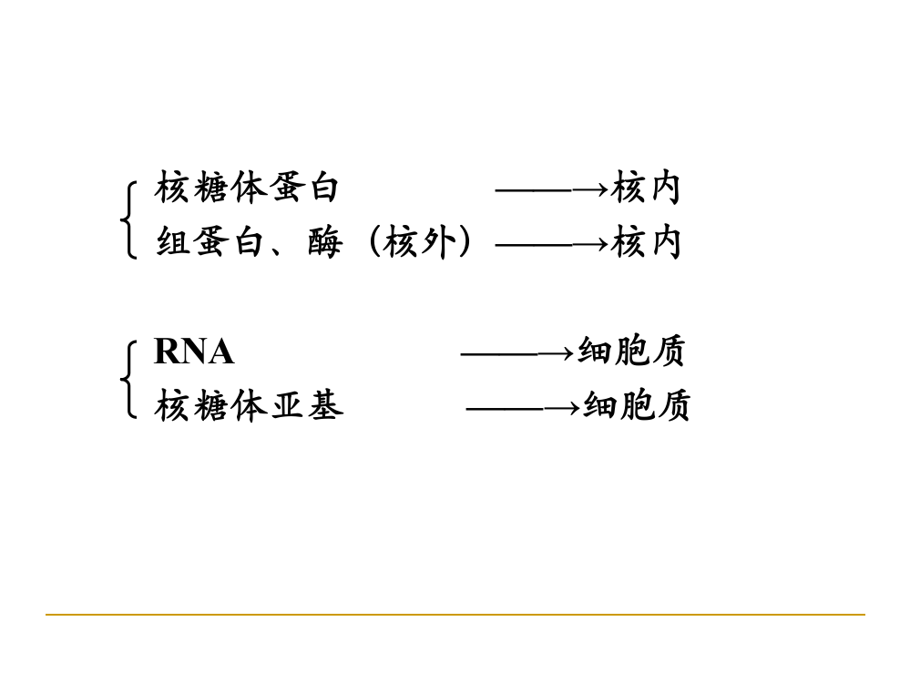 细胞生物学10章-细胞核PPT幻灯片