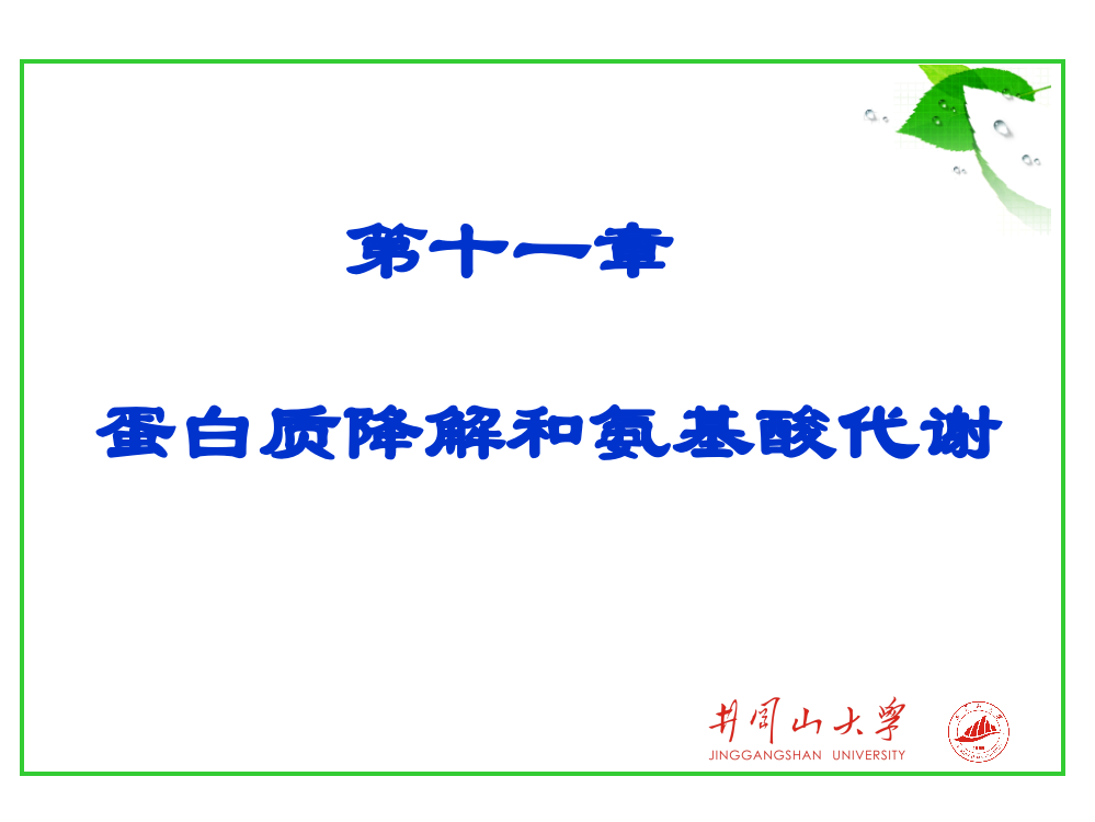 第十一章氨基酸代谢ppt课件