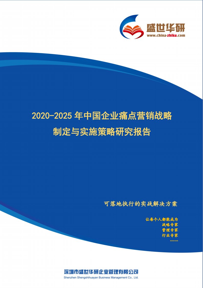 2020-2025年中国企业痛点营销战略制定与实施策略研究报告