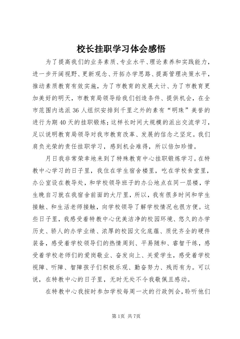 6校长挂职学习体会感悟