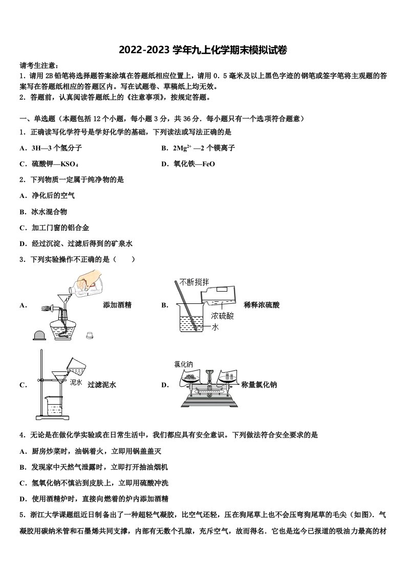 2023届林芝市重点中学化学九年级第一学期期末检测试题含解析