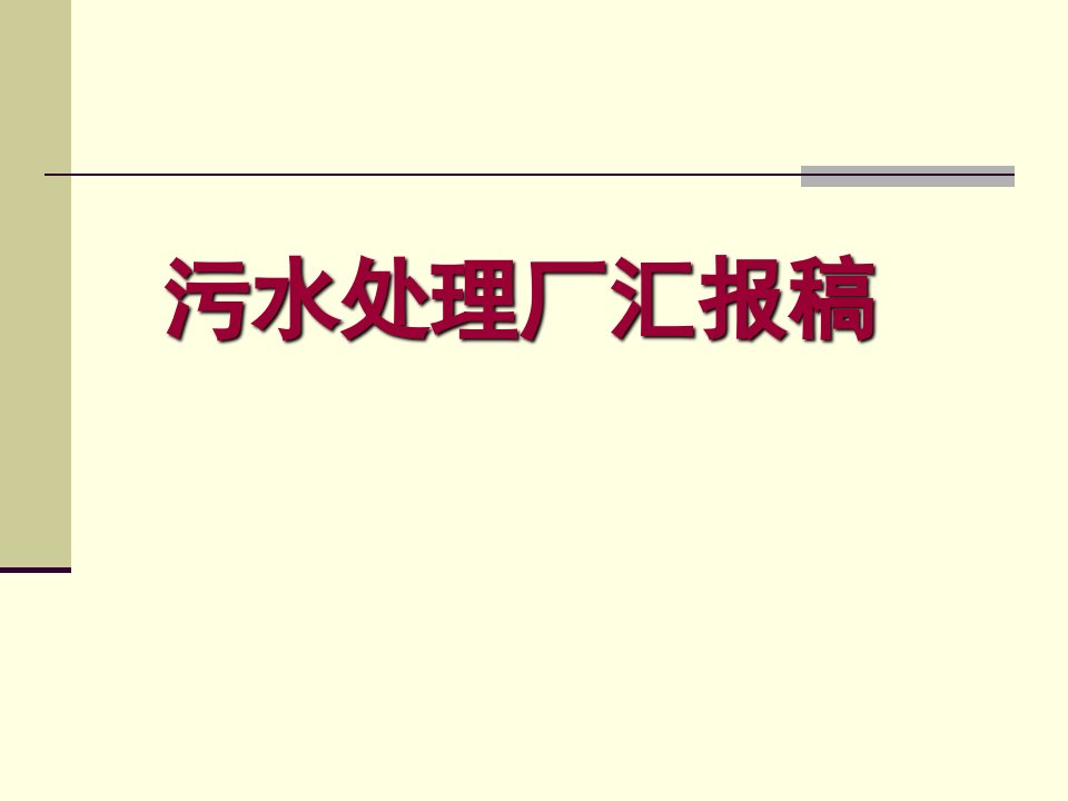 国内某污水处理厂汇报