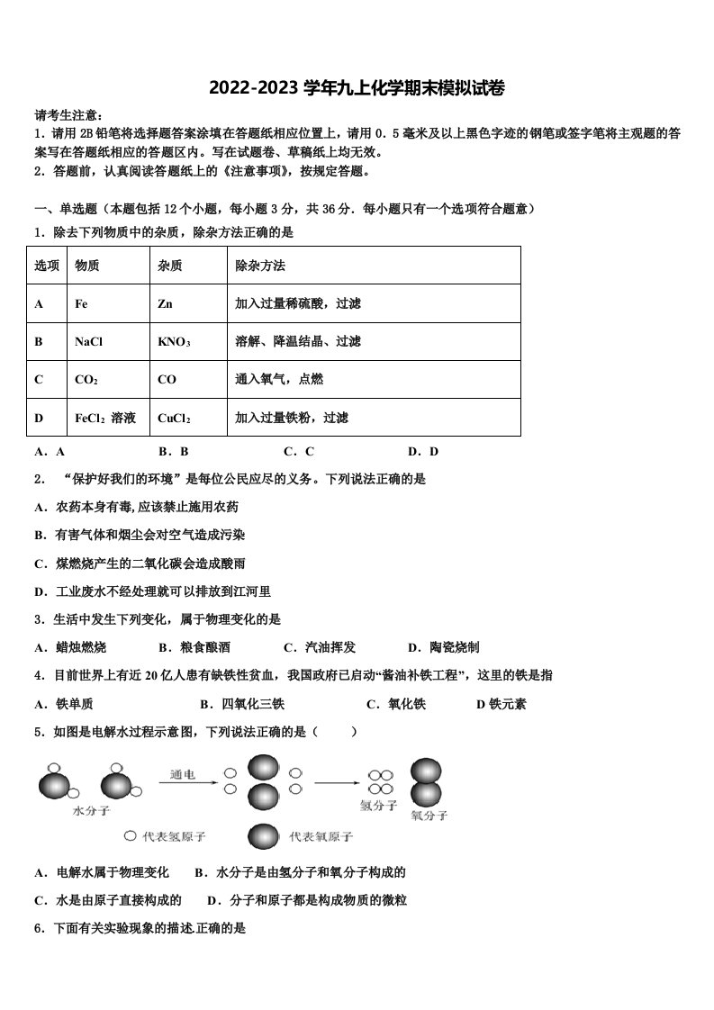 上海市浦东新区上海民办张江集团学校2022年九年级化学第一学期期末达标检测试题含解析